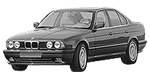 BMW E34 C244C Fault Code